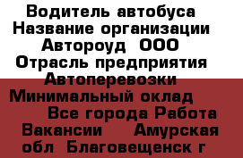 Водитель автобуса › Название организации ­ Автороуд, ООО › Отрасль предприятия ­ Автоперевозки › Минимальный оклад ­ 50 000 - Все города Работа » Вакансии   . Амурская обл.,Благовещенск г.